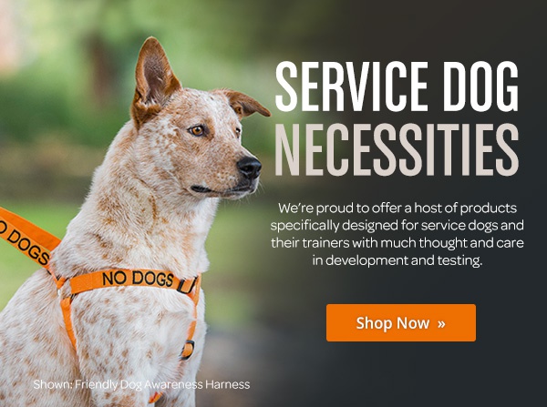 Jjdog coupon