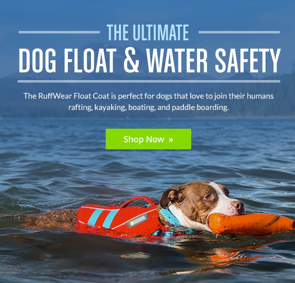 Jjdog coupon