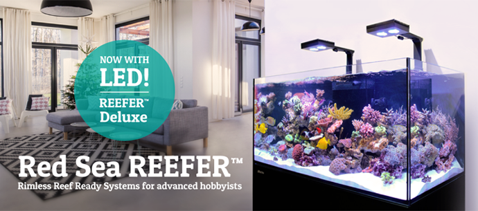 Bulk reef supply coupon code