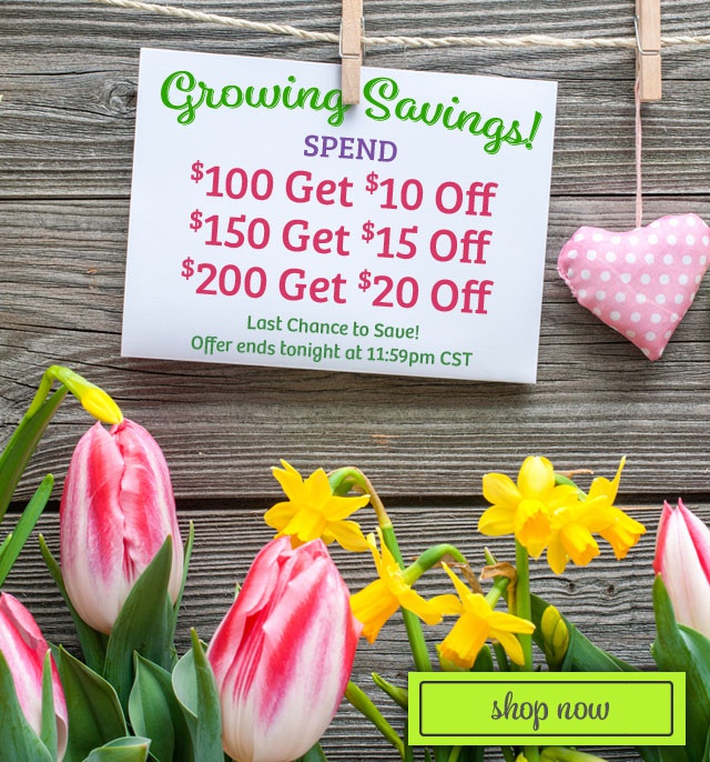 Revival animal coupon code
