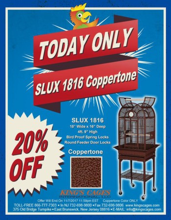 Rainbow mealworms coupon code
